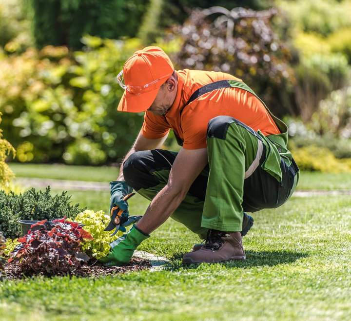 Un jardin impeccable toute l'année