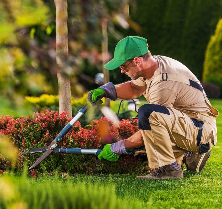 Jardinier Entretien de jardin Ariège